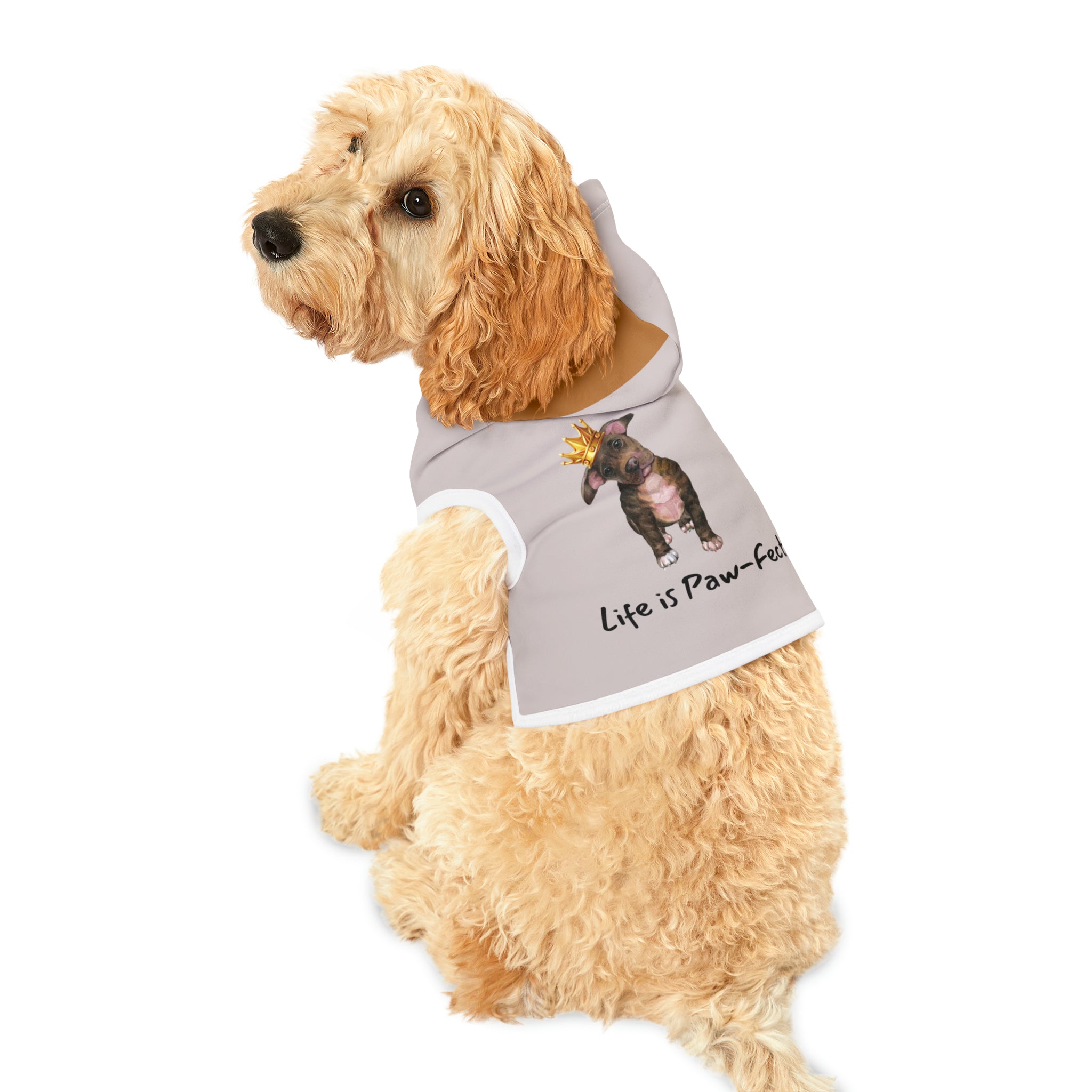 Life is Paw-Fect Dog Hoodie