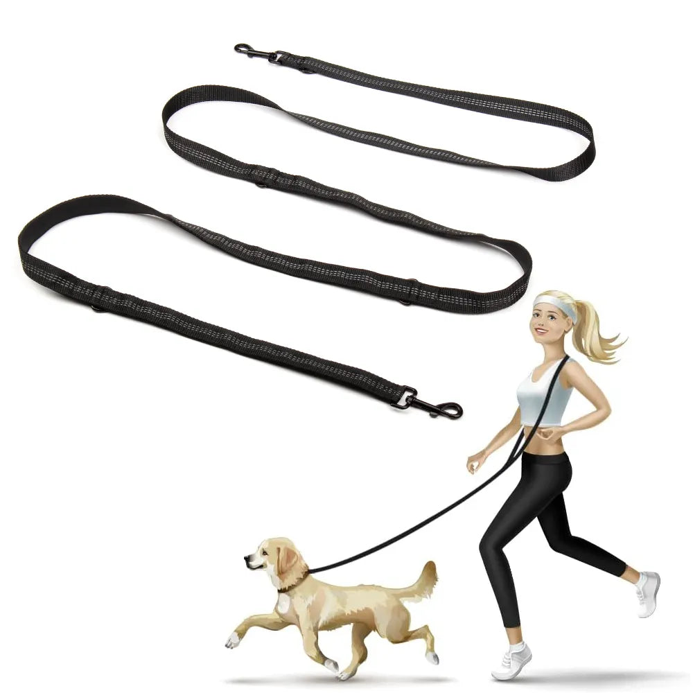 Multifunctional Dog Training Leash 3 Meters Nylon Double Leash Dog Supplies Hands Free Pet Lead with Padded Handles Pet Supplies