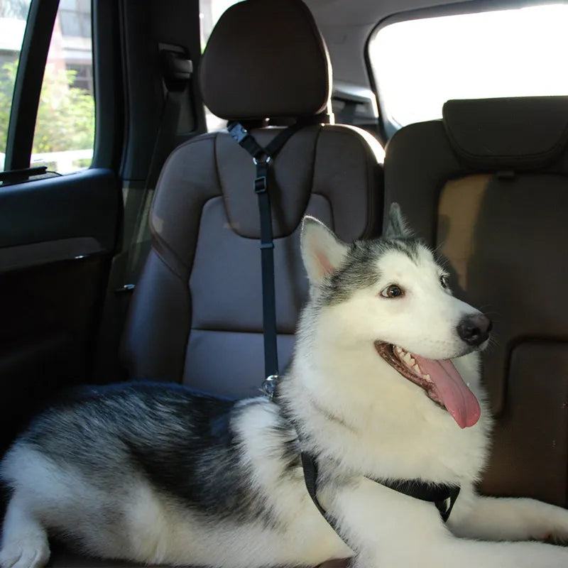 New Pet Dog Cat Car Seat Belt Safety Adjustable Harness Leash Travel Clip Strap Leads For Small Medium Dogs Puppy Accessories