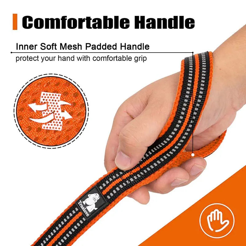 Truelove Soft Mesh Nylon Dog Leash Double Thickness Running Reflective Safe Walking Training Pet Dog Lead Leash Stock 200cm