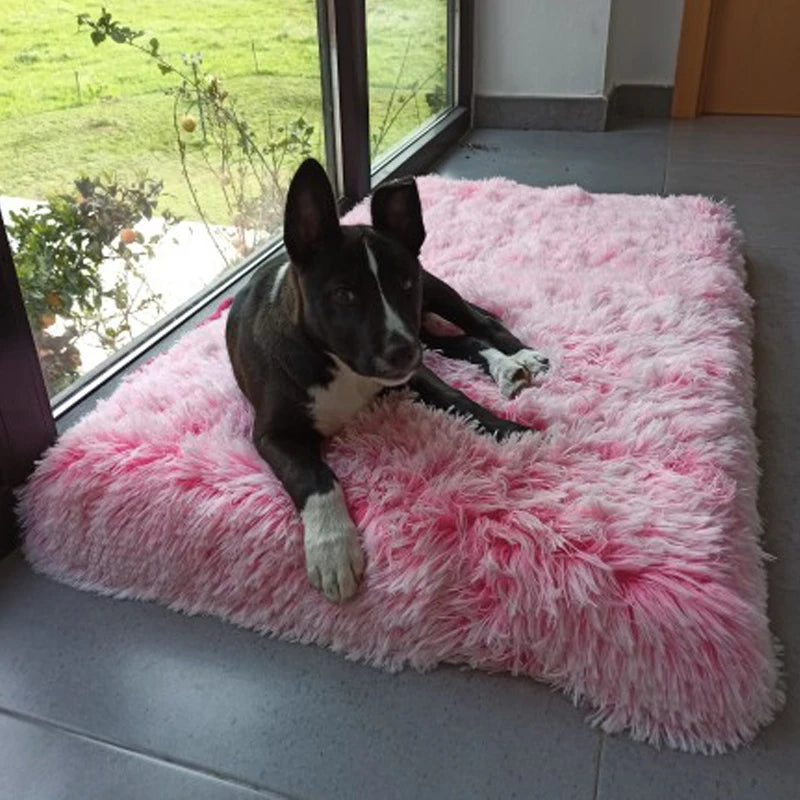 Long Plush Dog Bed Calming Cat Bed Pet Mattress with Removable Washable Cover Memory Foam Mat Dog Crate Mat with Non-Slip Bottom