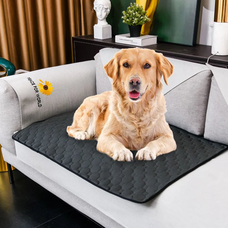 Dog Training Pad Washable Pet Pee Mat Super Absorbent Non-Slip Puppy Crate Mat Reusable Incontinence Pads for Dogs Cats