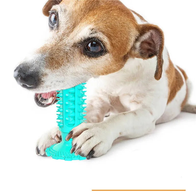 Toy Dog Toy Dog Chew Toys Dog Toothbrush Pet Molar Tooth Cleaning Brushing Stick Doggy Puppy Dental Care Dog Pet Supplies dogs