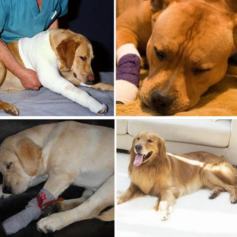 Pet Dog Bandages Dog Injurie Leg Knee Brace Strap Protection For Dogs Joint Bandage Wrap Doggy Medical Supplies