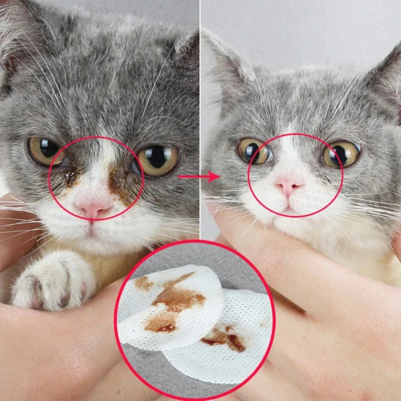 Pet Wipes Dog Cat Eyes Ears Cleaning Products Dogs Tear Ear Stain Remover Pet Aloe Grooming Supplies Puppy Kitten Eye Ear Care