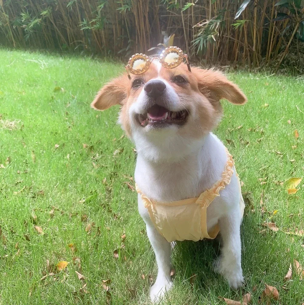 Pet Dog Glasses Rhinestone Sunglasses Cat Photography Decoration Fashion Sunglasses Accessories Pet Products Puppy Sunglasses