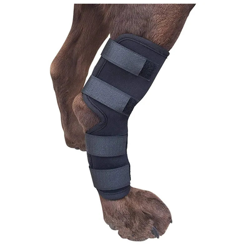 Pet Dog Bandages Dog Injurie Leg Knee Brace Strap Protection For Dogs Joint Bandage Wrap Doggy Medical Supplies