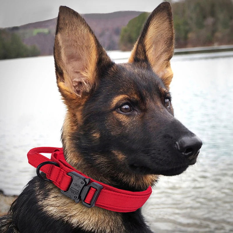 Military Tactical Big Dog Collar With Handle Large Pet Outdoor Training Accessories Black Nylon Durable Collar Leash Rope Set