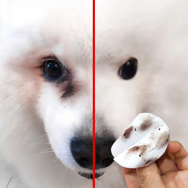 Pet Wipes Dog Cat Eyes Ears Cleaning Products Dogs Tear Ear Stain Remover Pet Aloe Grooming Supplies Puppy Kitten Eye Ear Care