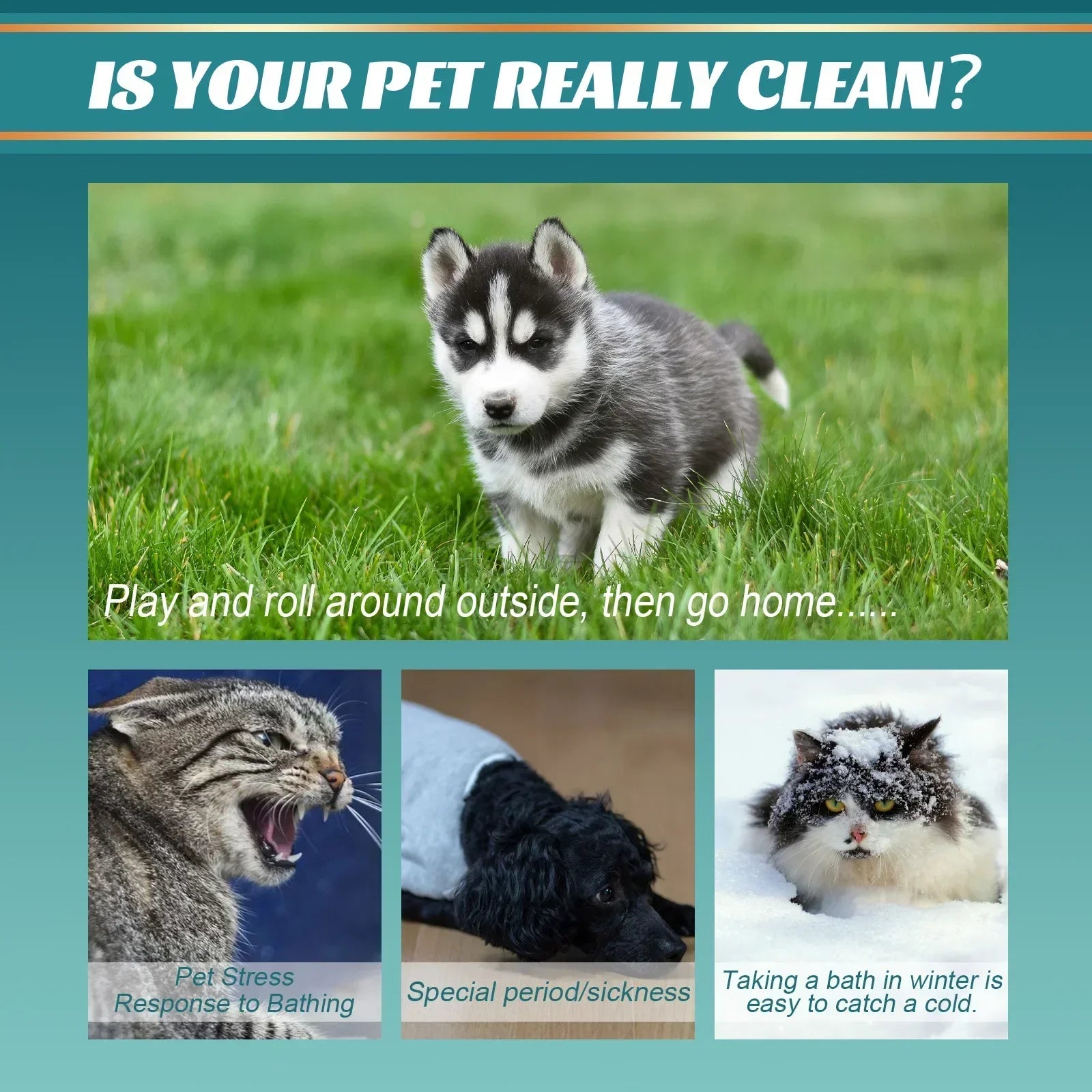 Pet Wash Free Gloves Puppy Disposable Cleaning Massage Gloves Odor Remover Cats Dogs Spa Bath Supplies Pet Dry Cleaning Gloves