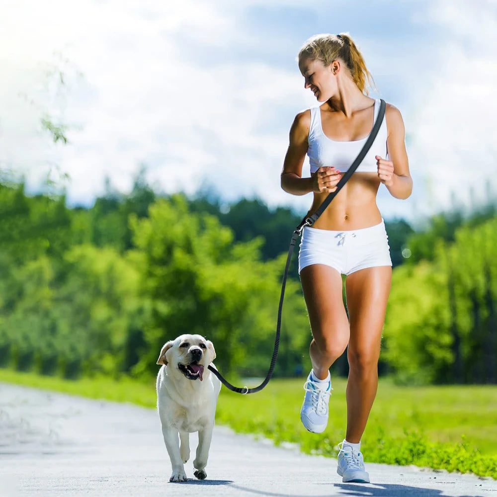 Multifunctional Dog Training Leash 3 Meters Nylon Double Leash Dog Supplies Hands Free Pet Lead with Padded Handles Pet Supplies
