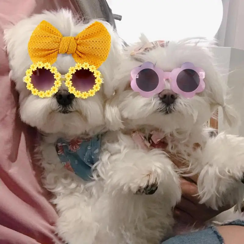 Pet Dog Sunglasses Headband Set Sun Flower Glasses for Maltese  Poodle Yorkshire for Small Dogs Cat Accessories